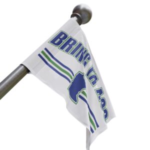 Bring Ya Ass Minnesota 2024 Flag